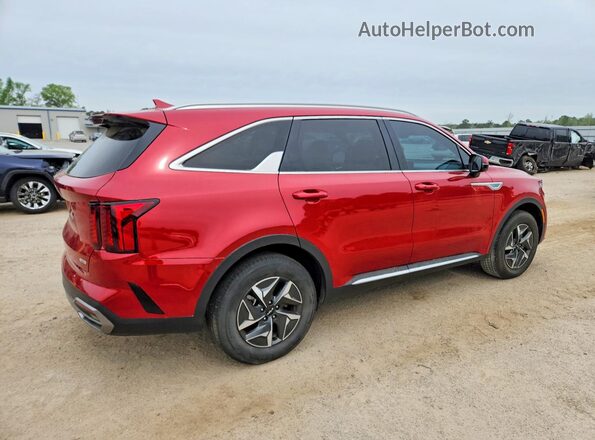 KNDRH4LG5P5167483 2023 KIA SORENTO Burgundy Задня права чверть
