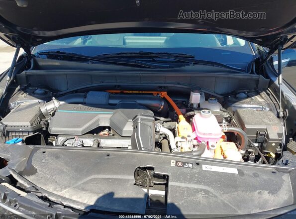 KNDRH4LG9R5260316 2024 KIA SORENTO HYBRID Dark Blue Вид сзади