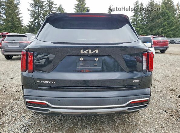 KNDRHDLG7P5141810 2023 KIA SORENTO Black Widok z tyłu