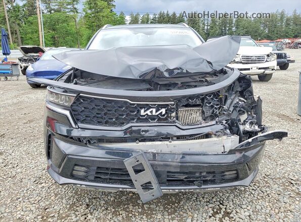 KNDRHDLG7P5141810 2023 KIA SORENTO Black Widok z przodu