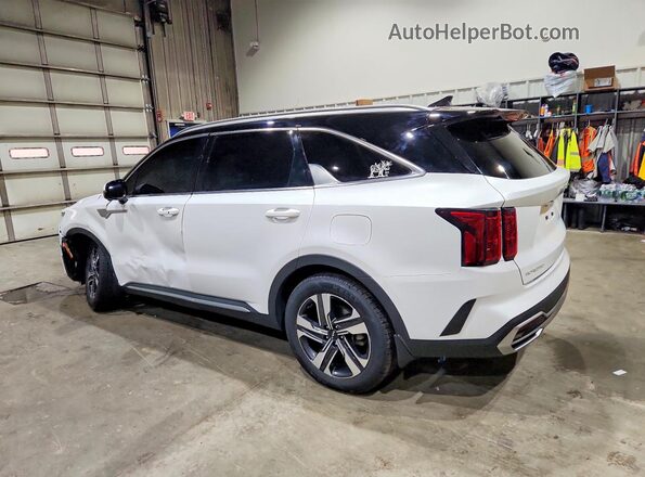 KNDRKDLG2P5152411 2023 KIA SORENTO White Задня ліва чверть