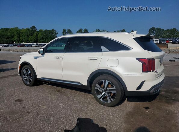 KNDRKDLG3P5158427 2023 KIA SORENTO Белый Задняя левая четверть