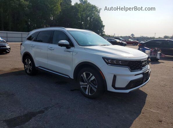 KNDRKDLG3P5158427 2023 KIA SORENTO Белый Передняя правая четверть