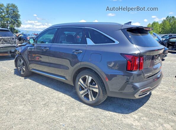 KNDRKDLG5R5235253 2024 KIA SORENTO Угольный Задняя левая четверть