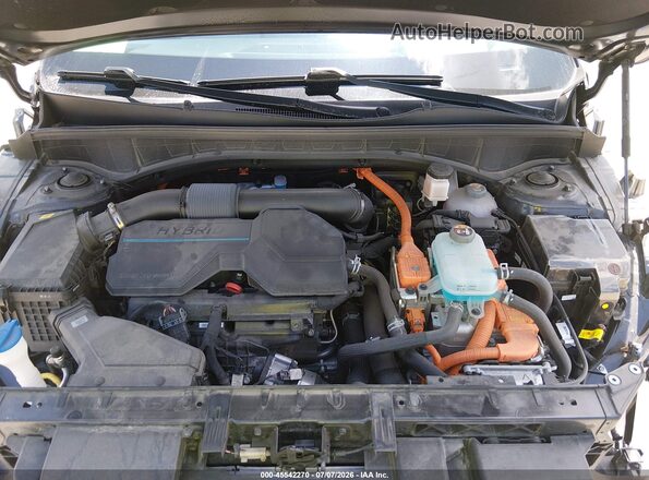 KNDRMDLH3N5105677 2022 KIA SORENTO PLUG-IN HYBRID Серый Вид сзади