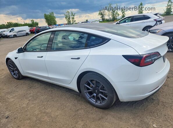 LRW3E1EB2PC850216 2023 TESLA MODEL White Rear left