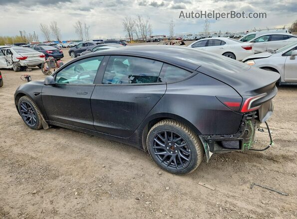 LRW3E7FA8RC105935 2024 TESLA MODEL Black Задня ліва чверть