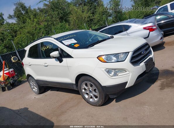 MAJ3S2GE1LC384464 2020 FORD ECOSPORT White Вид задньої частини салону