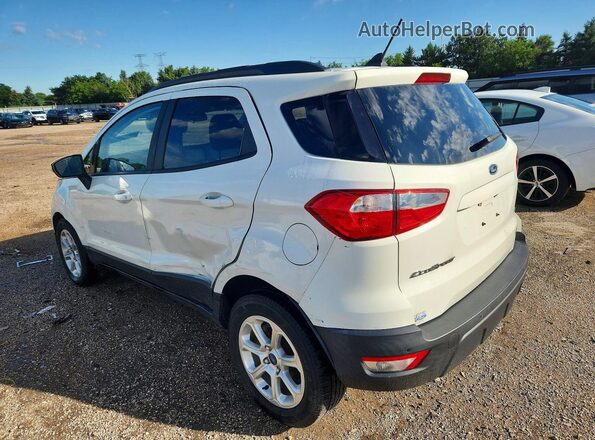 MAJ3S2GE2KC307519 2019 FORD ECOSPORT Белый Задняя левая четверть