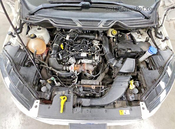 MAJ3S2GEXMC451967 2021 FORD ECOSPORT White Շարժիչի բաժամունքի տեսք