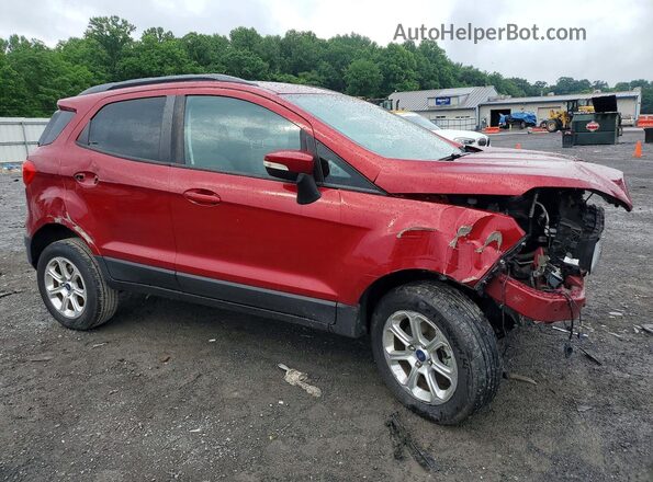 MAJ6S3GL5KC305782 2019 FORD ECOSPORT Red წინა მარჯვენა