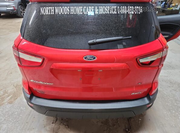 MAJ6S3GL7KC283865 2019 FORD ECOSPORT Burgundy 