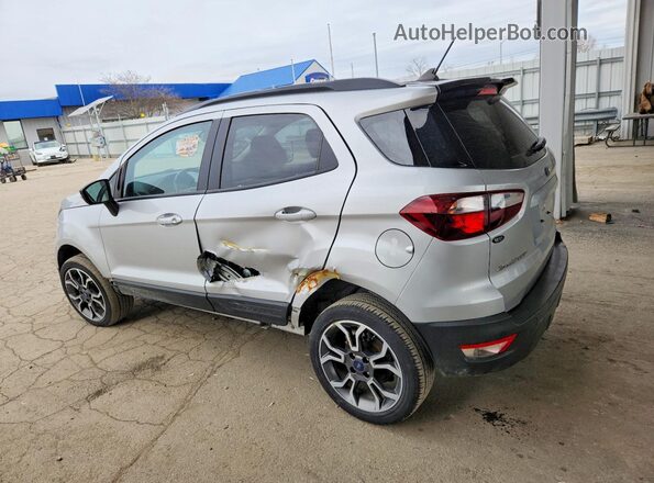 MAJ6S3JL2LC333789 2020 FORD ECOSPORT Silver Задня ліва чверть