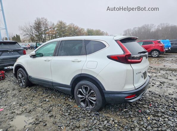 NJ2441E 2021 HONDA CR-V White Հետևի ձախ