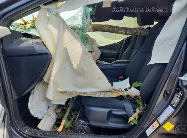 NMTKHMBX2KR096487 2019 TOYOTA C-HR Gray Вид салону спереду