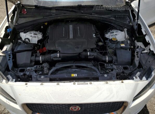 SADCJ2BV9HA493007 2017 JAGUAR F-PACE Белый Вид задней части салона