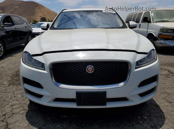 SADCJ2BV9HA493007 2017 JAGUAR F-PACE Белый Вид спереди