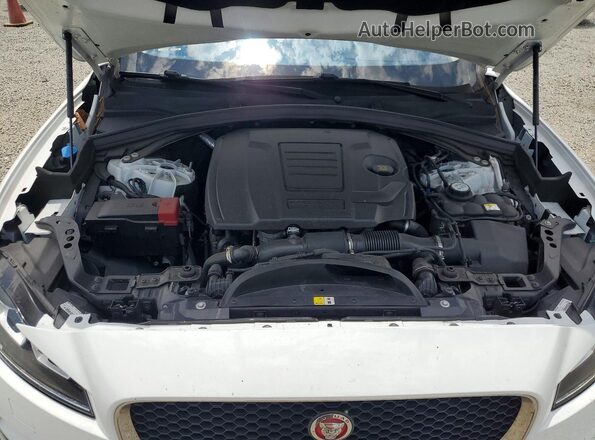 SADCJ2FX8LA655553 2020 JAGUAR F-PACE White Շարժիչի բաժամունքի տեսք