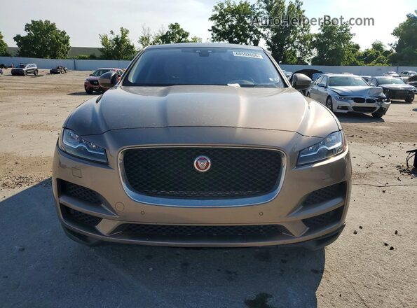 SADCK2BV1HA895844 2017 JAGUAR F-PACE Brown Widok z przodu