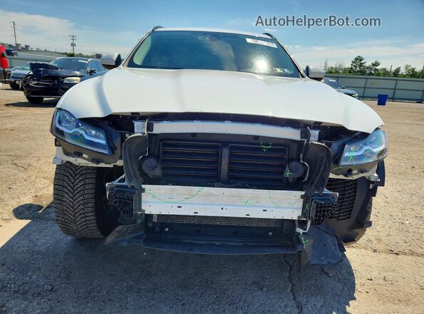 SADCK2BV4HA499214 2017 JAGUAR F-PACE Белый Вид спереди