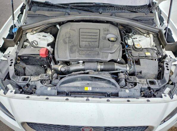 SADCK2FX7LA657503 2020 JAGUAR F-PACE White Widok wnętrza z tyłu