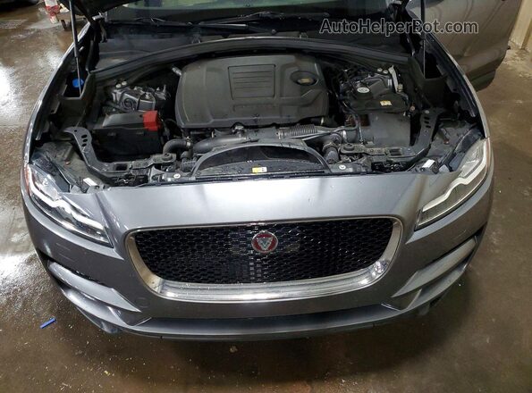 SADCK2GX6KA600920 2019 JAGUAR F-PACE Серый Вид задней части салона