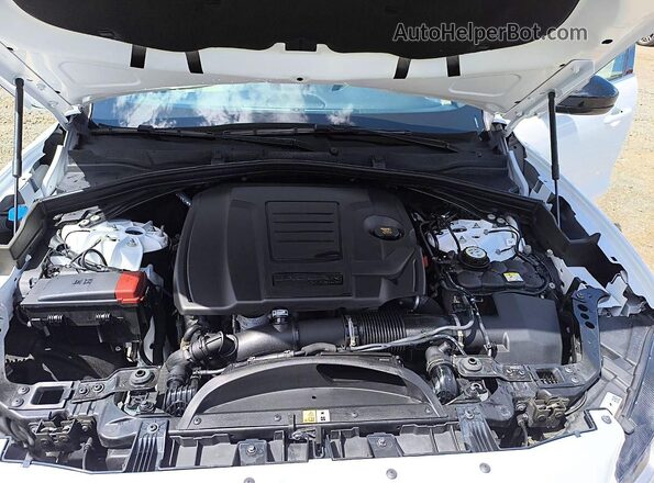 SADCT2EX6SA753717 2025 JAGUAR F-PACE White Շարժիչի բաժամունքի տեսք