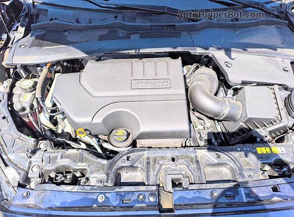 SADFL2FX3R1050842 2024 JAGUAR E-PACE Синий Вид наклейки с VIN-кодом