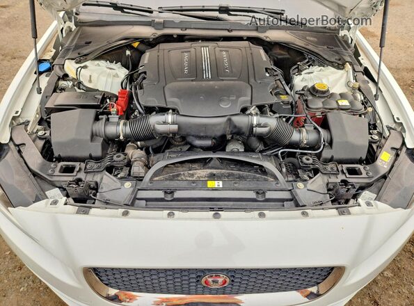 SAJAJ4BV3HA968652 2017 JAGUAR XF Белый Вид задней части салона