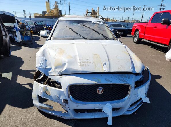 SAJBD4BV9GCY13294 2016 JAGUAR XF White Vista frontal