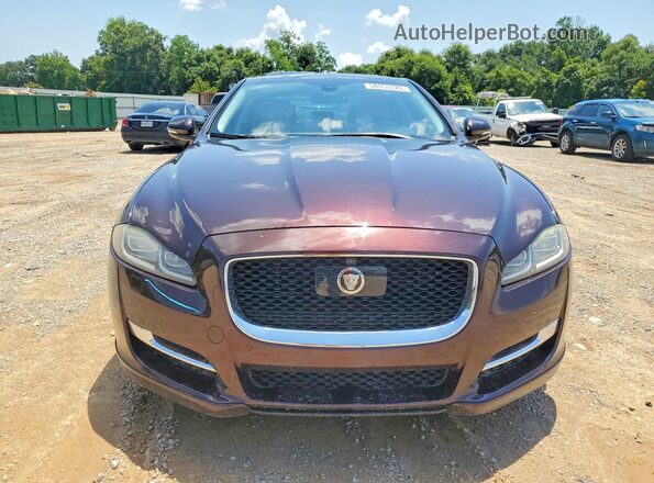 SAJWA1C72H8W04265 2017 JAGUAR XJ Бордовый Вид спереди