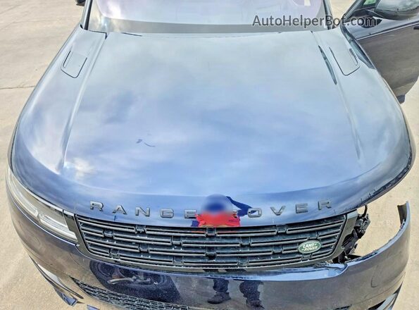 SAL119E43PA132409 2023 LAND ROVER RANGE Синий Вид задней части салона