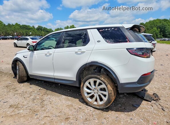 SALCJ2FX1LH833556 2020 LAND ROVER DISCOVERY White Tył lewy