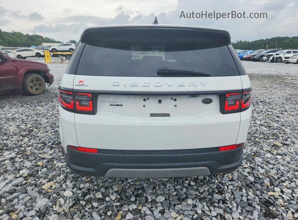 SALCJ2FX8LH841153 2020 LAND ROVER DISCOVERY White Rear view