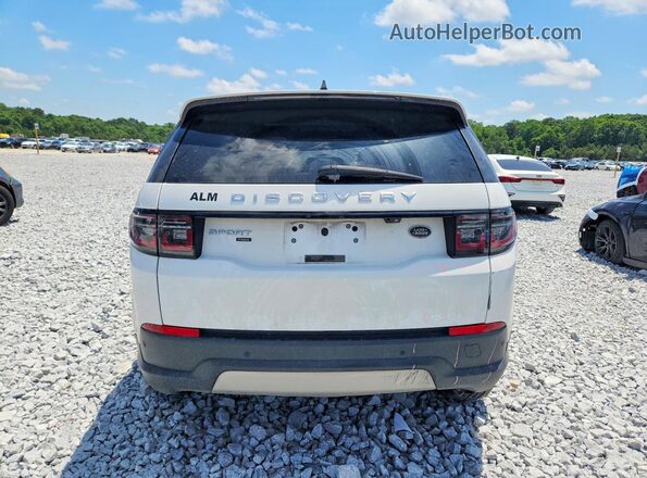 SALCK2FX0LH865153 2020 LAND ROVER DISCOVERY Белый Вид сзади