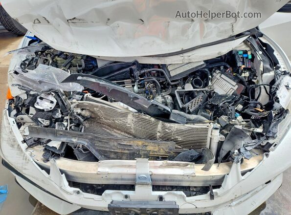 SHHFK7H40MU216182 2021 HONDA CIVIC White Սալոնի հետևի տեսք