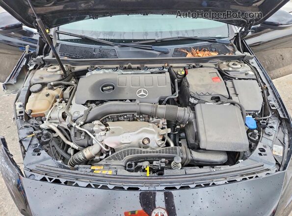 W1K3G4EB3LW043541 2020 MERCEDES-BENZ A Black Սալոնի հետևի տեսք