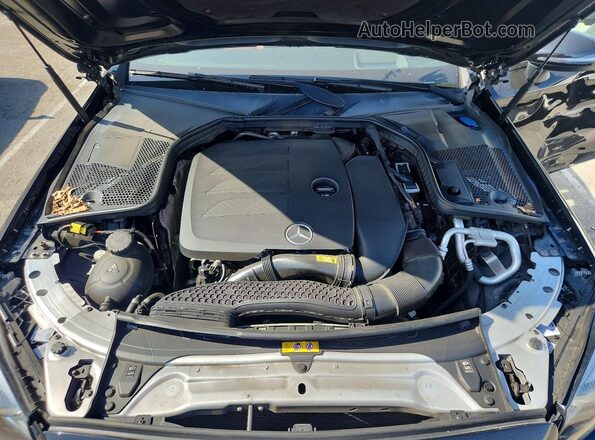 W1KWJ8DB1MG075830 2021 MERCEDES-BENZ C Black Սալոնի հետևի տեսք