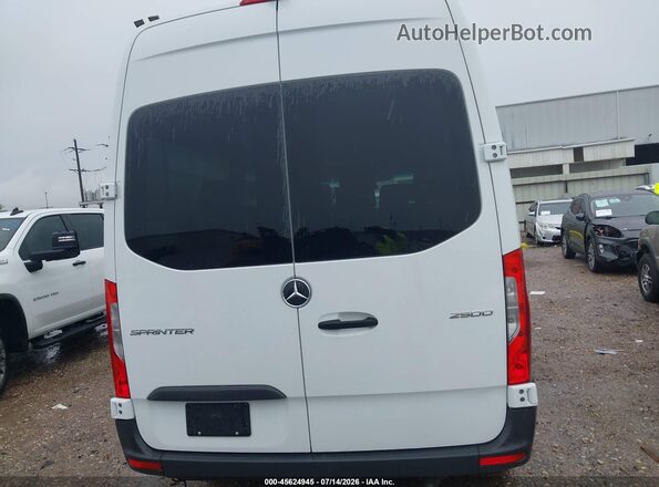 W1Z4KFHY6SP804894 2025 MERCEDES-BENZ SPRINTER White 