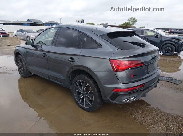 WA124AFY2R2113136 2024 AUDI SQ5 Gray Tył lewy