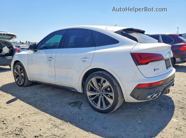 WA124AFY3M2083217 2021 AUDI SQ5 Белый Задняя левая четверть