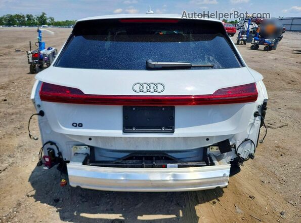 WA14AAGE9RB054964 2024 AUDI Q8 White Widok z tyłu