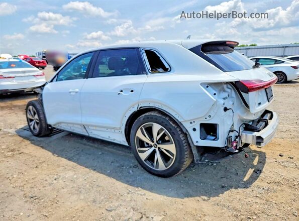 WA14AAGE9RB054964 2024 AUDI Q8 White Tył lewy