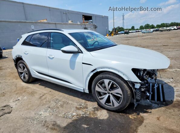 WA14AAGE9RB054964 2024 AUDI Q8 White Przód prawy