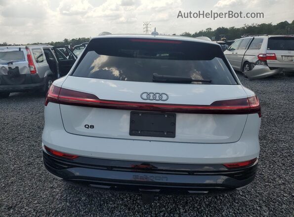 WA15AAGE5RB032111 2024 AUDI Q8 Белый Вид сзади