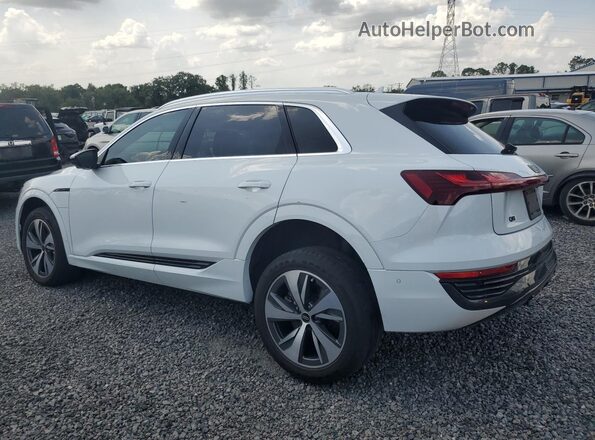 WA15AAGE5RB032111 2024 AUDI Q8 Белый Задняя левая четверть