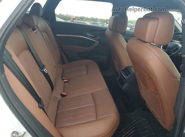 WA15AAGE5RB032111 2024 AUDI Q8 Белый Вид задней части салона