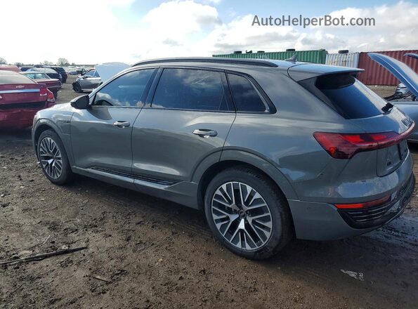WA16AAGE8RB053054 2024 AUDI Q8 Gray Задня ліва чверть
