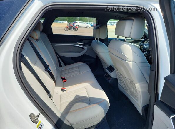 WA16ABGE0RB007918 2024 AUDI Q8 White Вид задньої частини салону