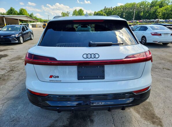 WA16ABGE0RB007918 2024 AUDI Q8 White Вид ззаду